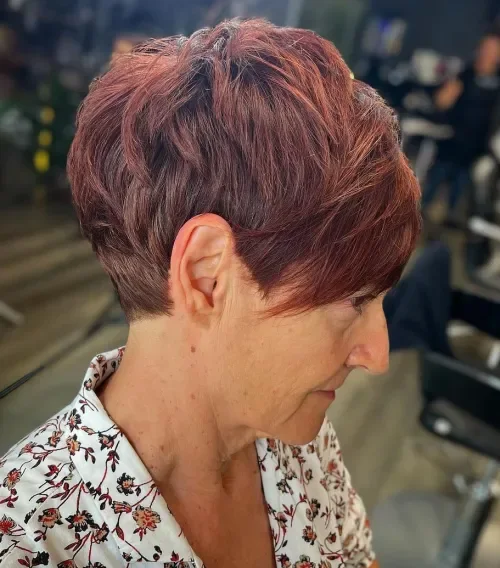 Spice-Brown Rounded Pixie Bob