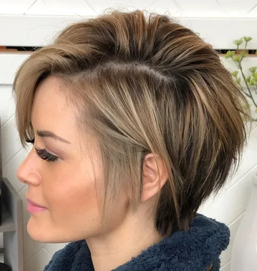 Chestnut Rooted Pixie Bob