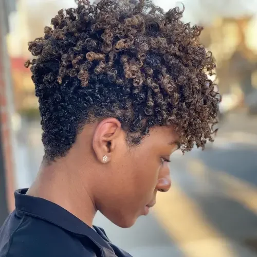 Textured Curly Crop With Taper