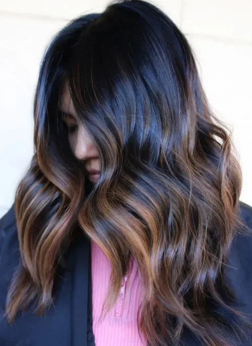 Dark Brown To Light Brown Ombre