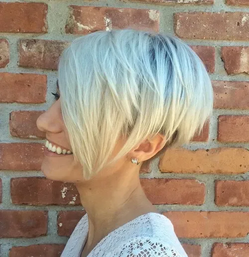 Pastel Blue Blonde Pixie Bob