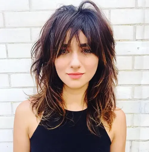 Fluffy Bangs With Thin Highlighted Shag