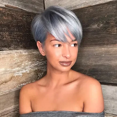 Smoky Gray Pixie Bob Curve