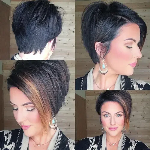 Classic Rounded Back Pixie Bob