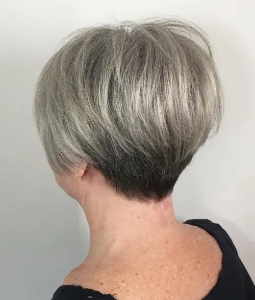 Smoky Ash Tapered Pixie Bob