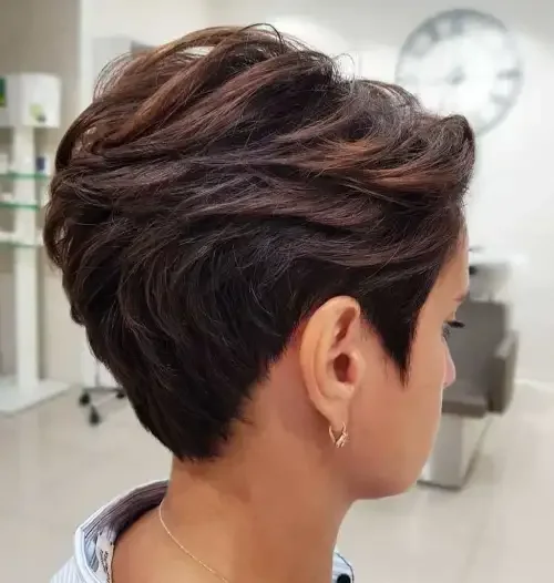 Wind-Swept Dark Pixie Bob