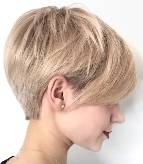 Sandy Blonde Rounded Pixie Bob