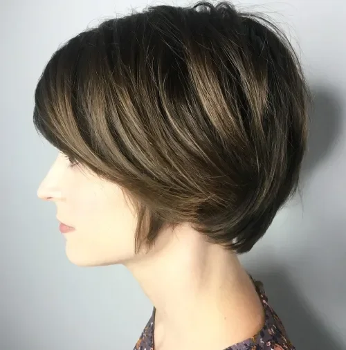 Brunette-Gold Shag Pixie Bob