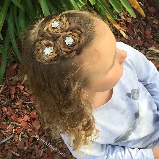 Braided Nest Updo With Clips