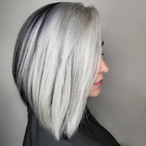 Sleek Straight Gray Bob